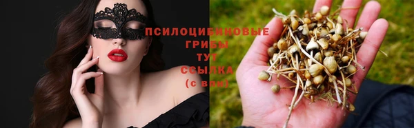 jwh Аркадак