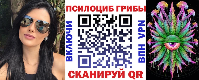 mega вход  Верещагино  Псилоцибиновые грибы Cubensis 